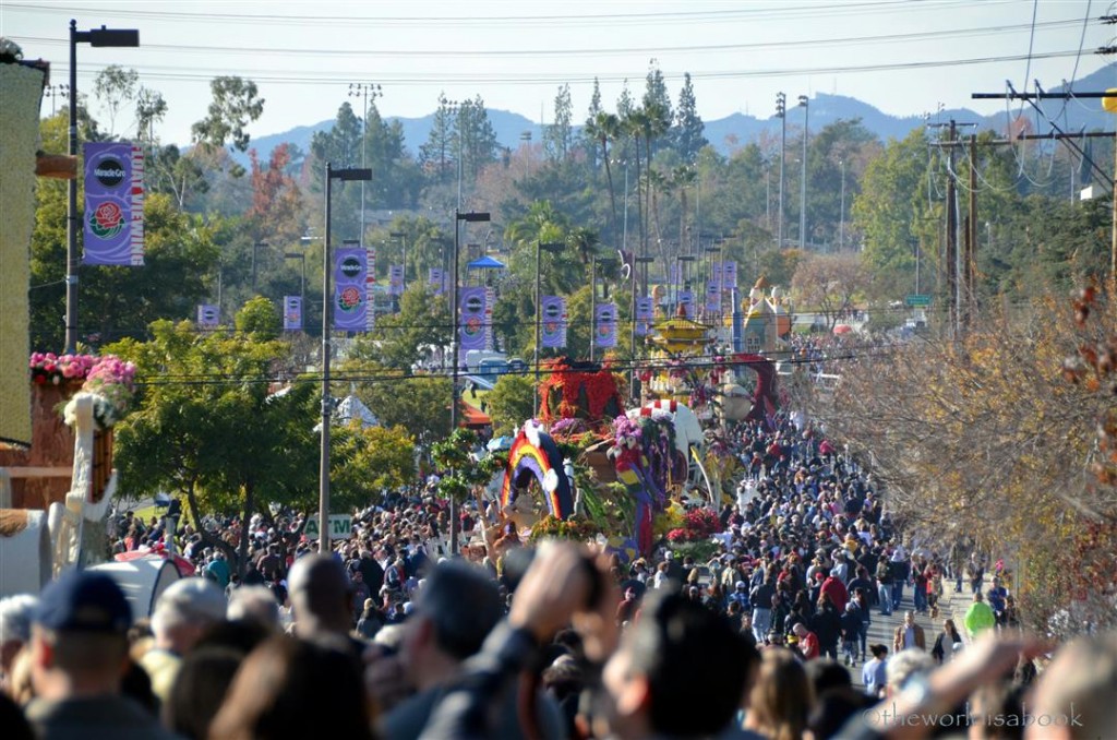 Rose parade float viewing crowd