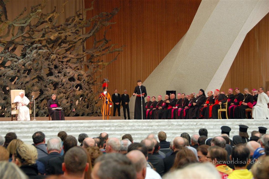 Vatican Papal Audience