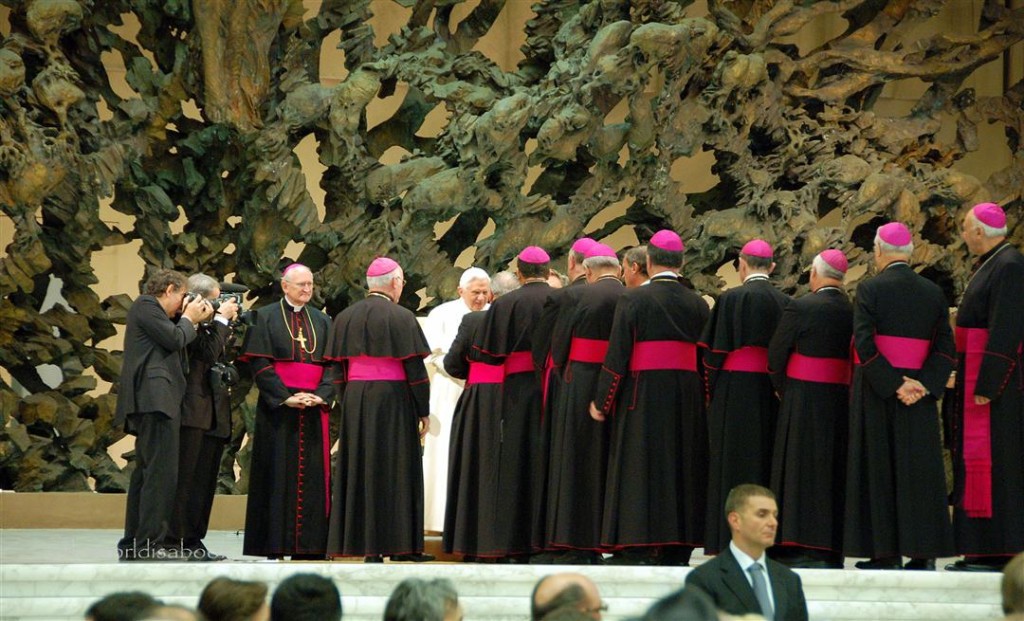 Papal audience vatican