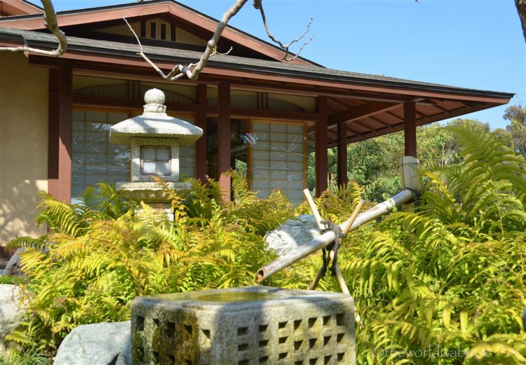 Japanese water basin and stone lantern