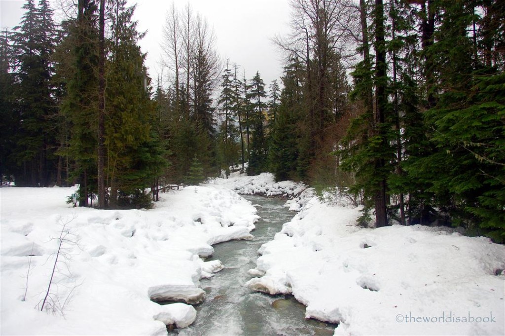 Whistler frozen river