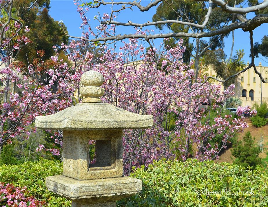 pagoda blossom at Japanese Friendship Garden