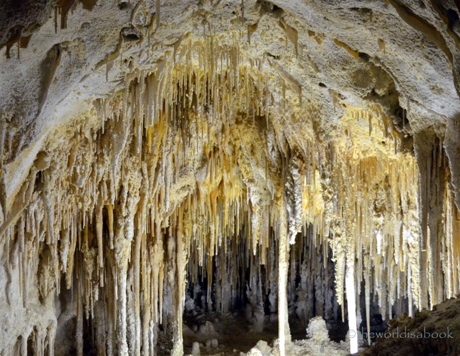 Carlsbad Caverns soda straws