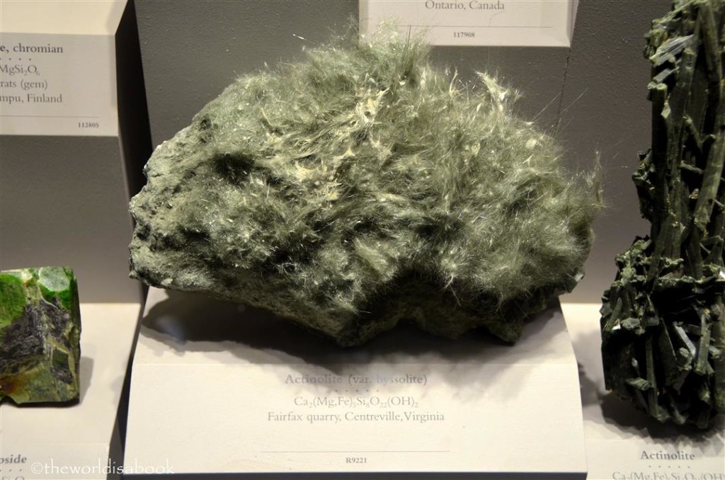 Natural History Actinolite