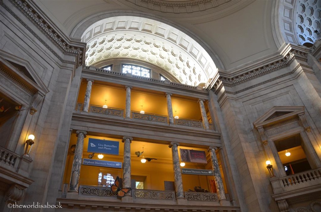 Natural history museum architecture