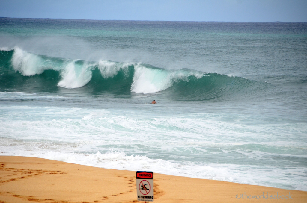 North shore waves