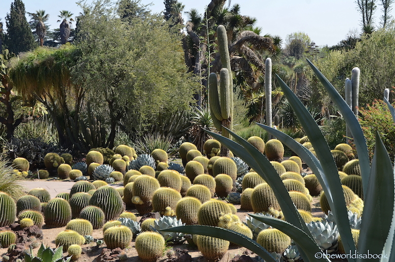 Huntington Cactus Garden