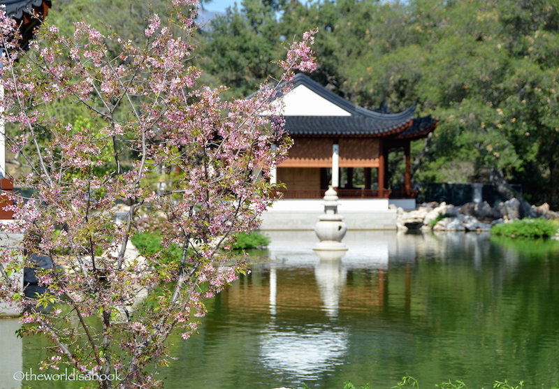 Huntington Chinese Garden