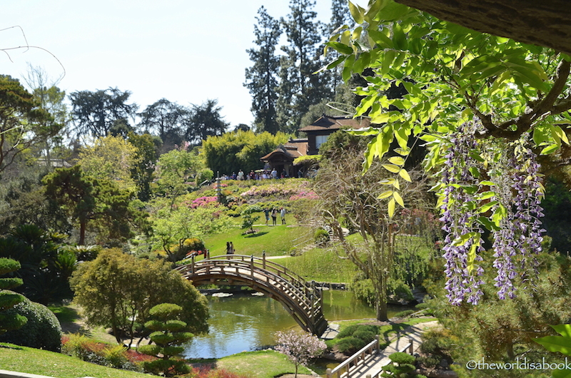 Huntington Japanese garden