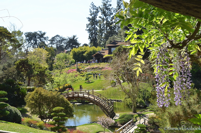 An Afternoon Stroll At The Huntington Library Art Collections And