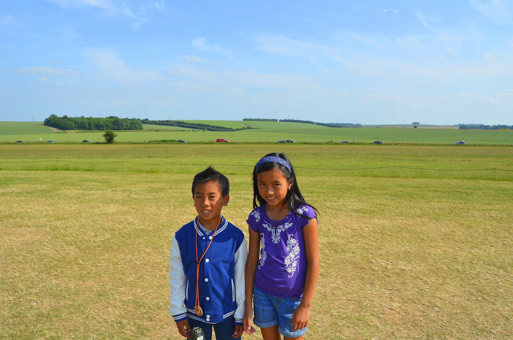 Stonehenge field