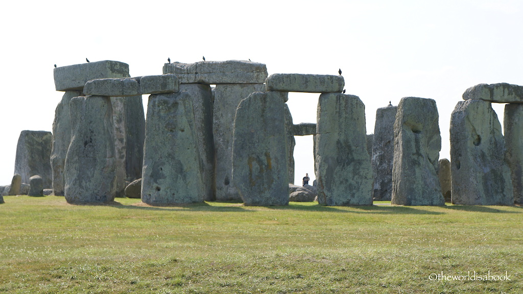 Stonehenge with birds