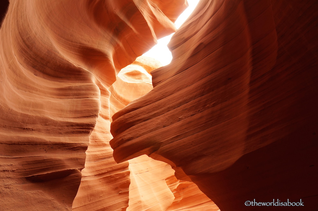 Lower Antelope Canyon lion