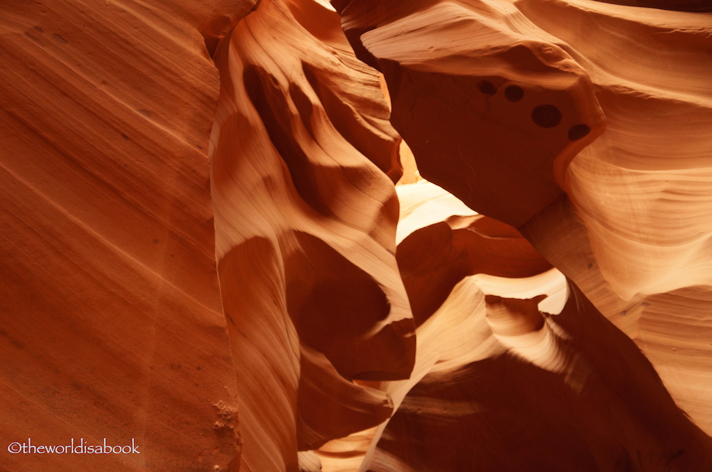 Lower Antelope Canyon turtle