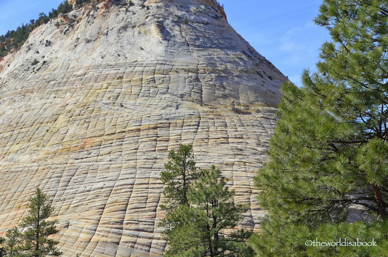 Zion Checkerboard Mesa