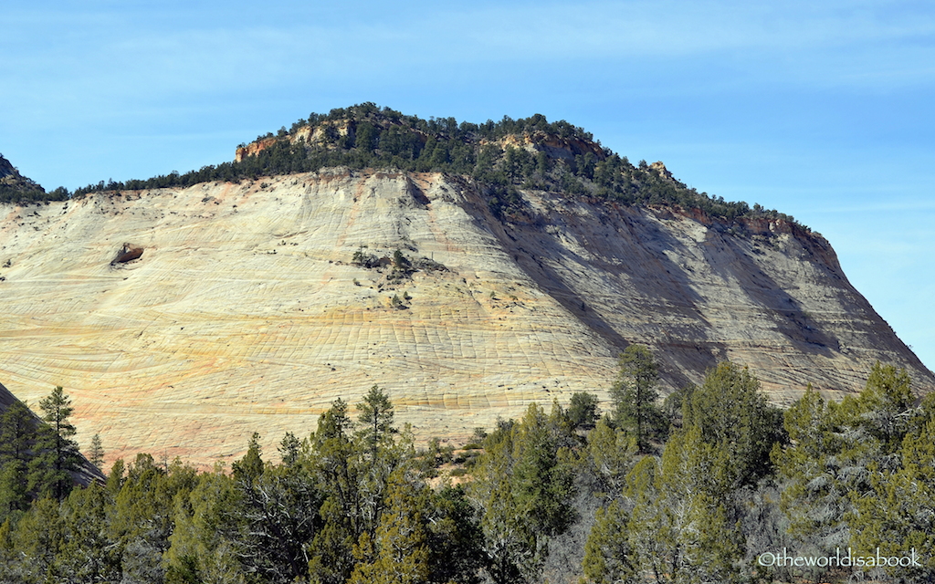 Zion National Park Crazy Quilt Mesa