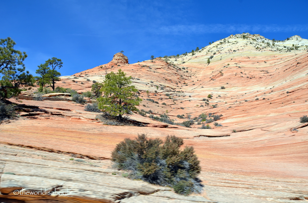 Zion National Park cliff