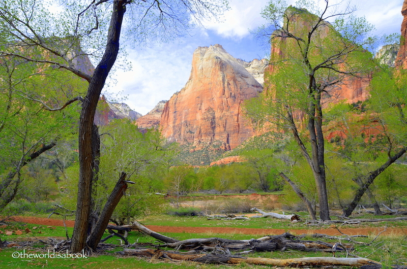 Zion National Park court of the Patriarchs