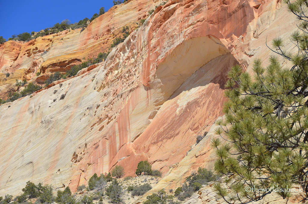 Zion National Park sandstone