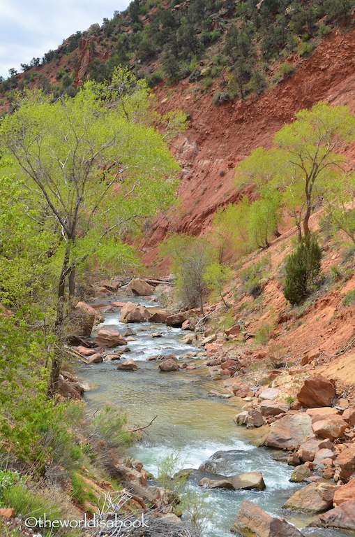 Zion Virgin River