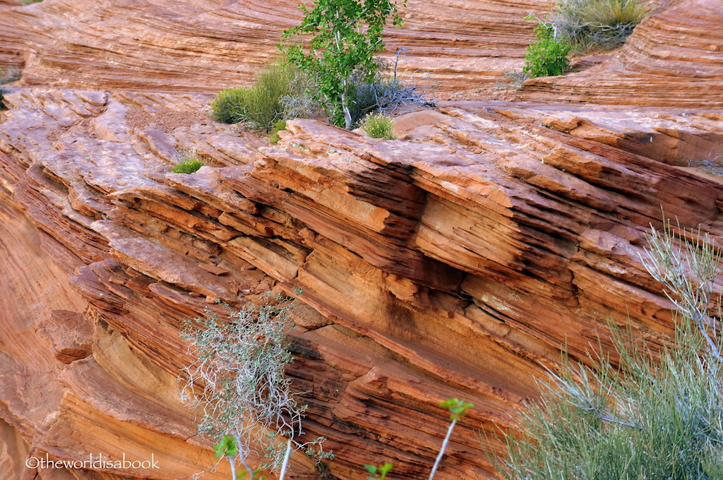 Glen Canyon National Recreation Area rocks