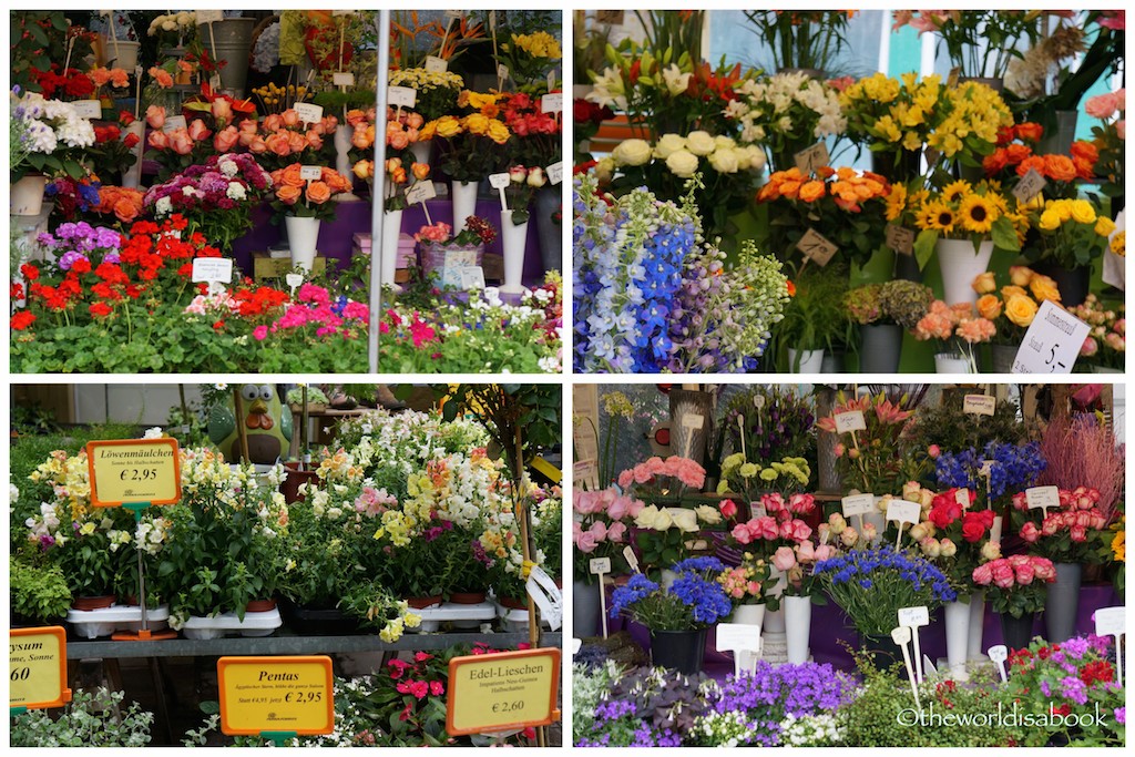 Viktualienmarkt flowers