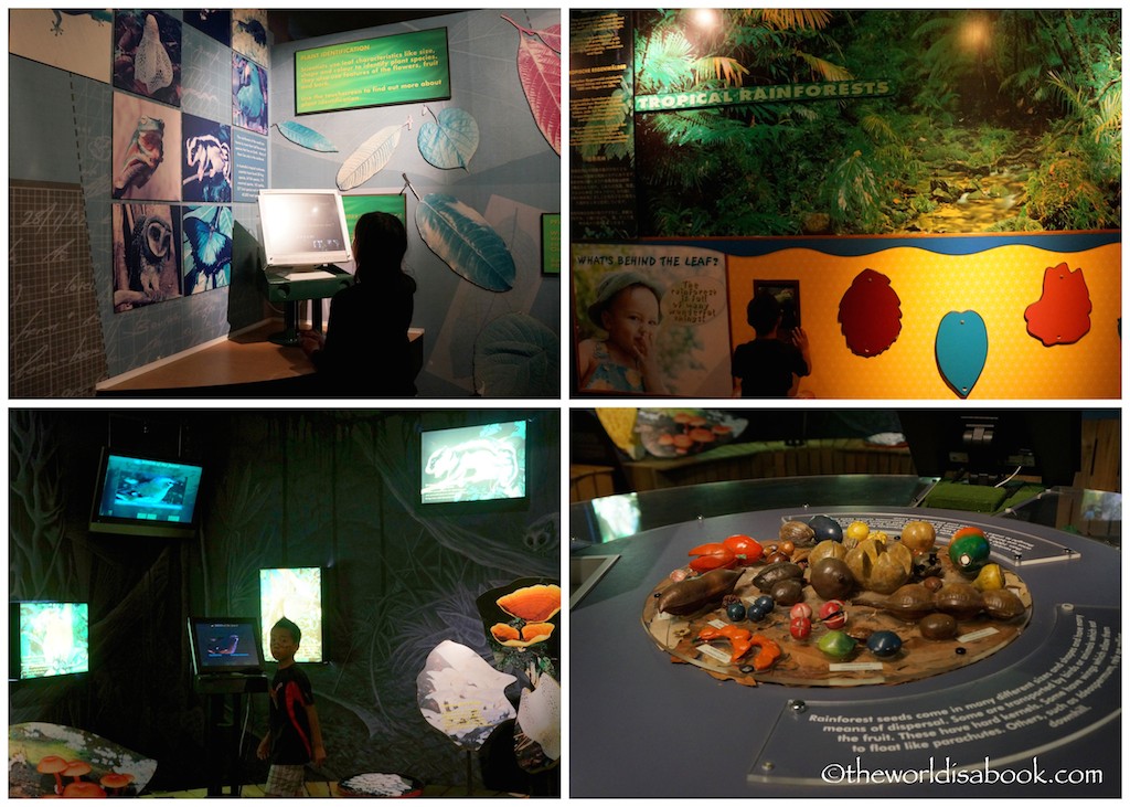 Skyrail Rainforest Interpretive Center