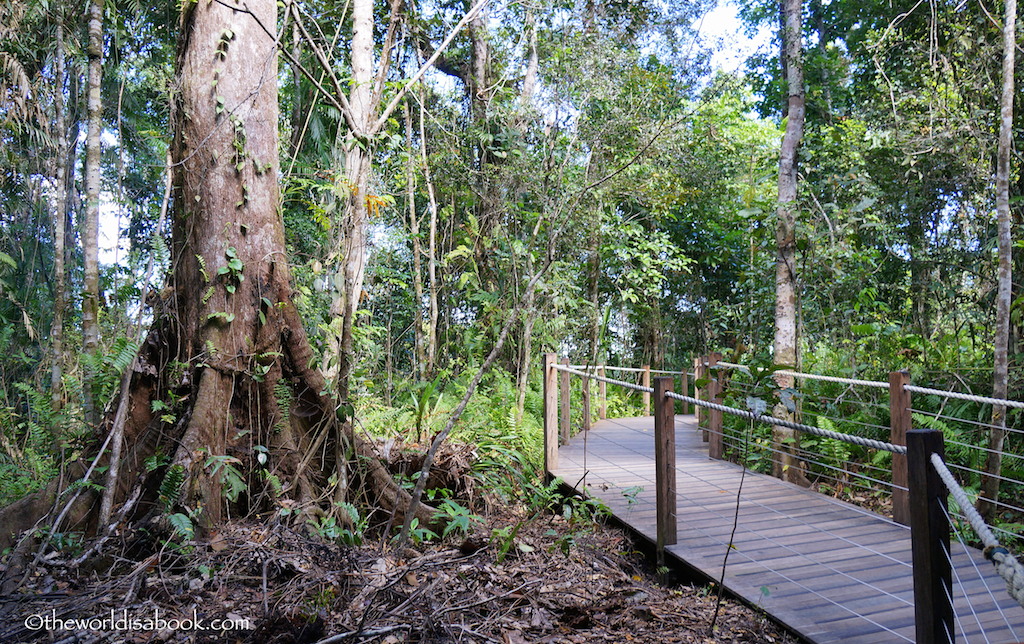 Skyrail Rainforest boardwalk