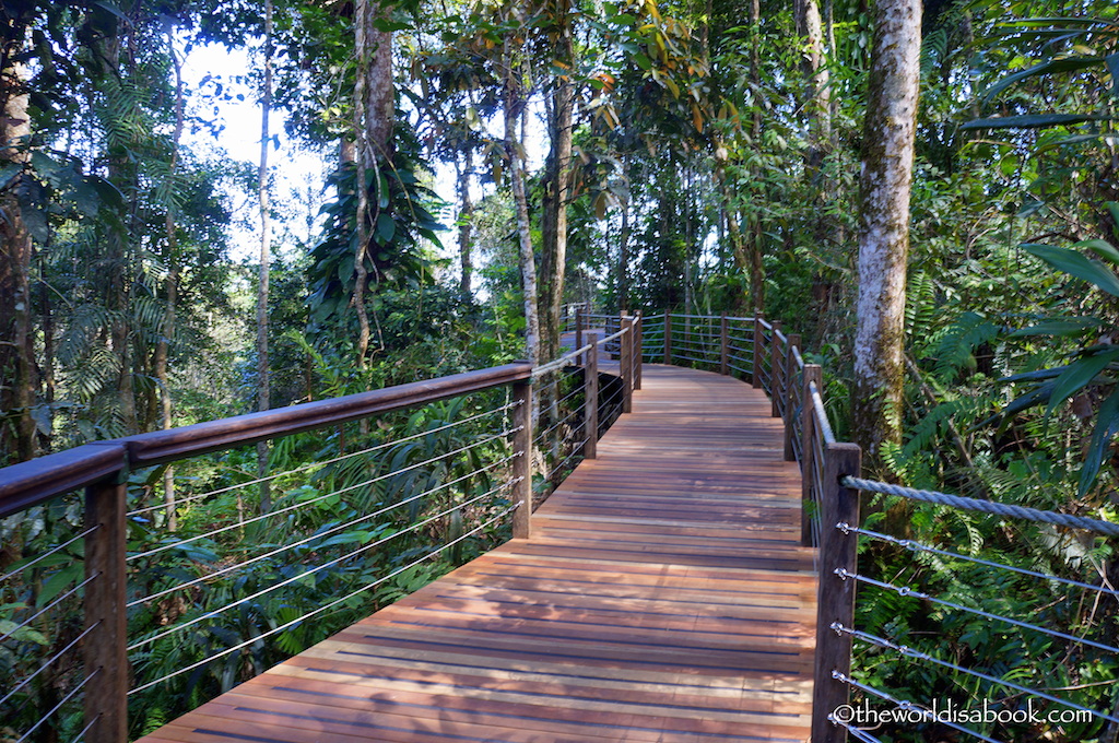 Skyrail rainforest boardwalk