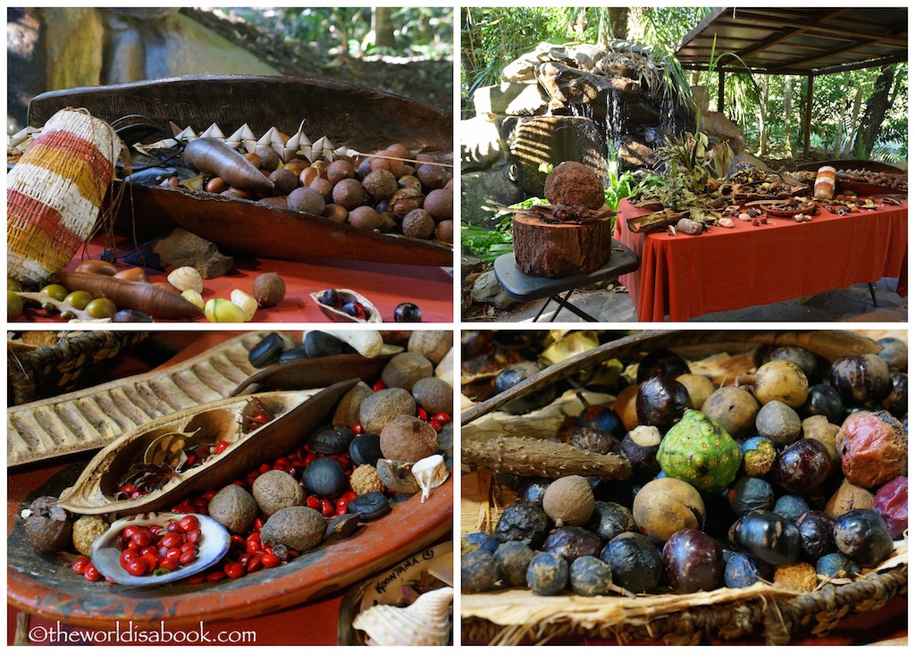 Tjapukai bush tucker medicine