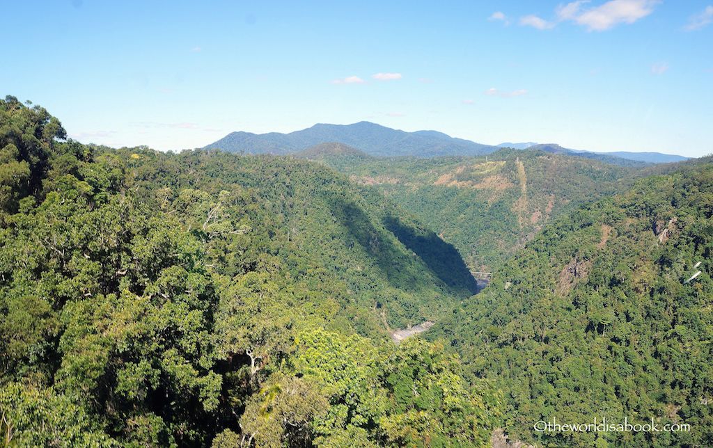 Tropical Rainforest Queensland