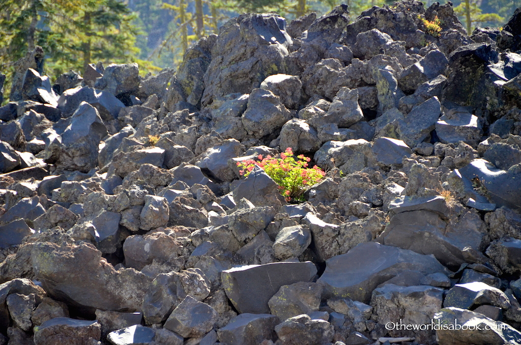 Wizard Island volcanic rocks