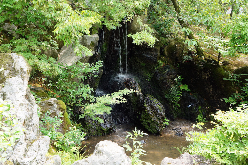 Kyoto Golden Pavilion waterfalls