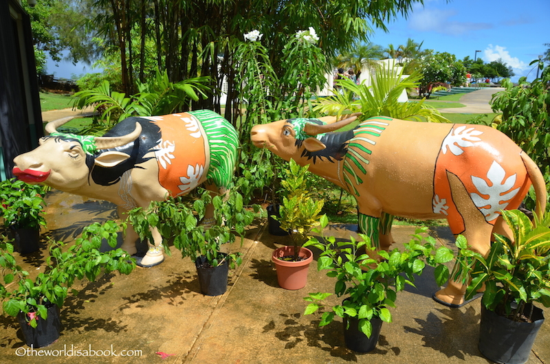 Painted carabaos guam