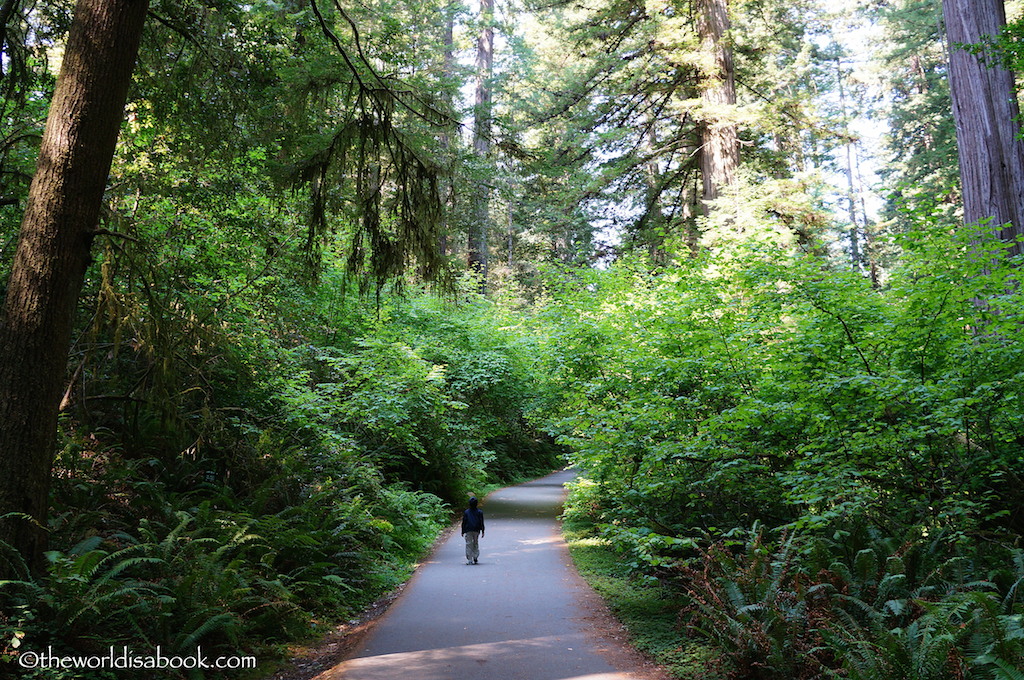 Stout Grove Trail with kids