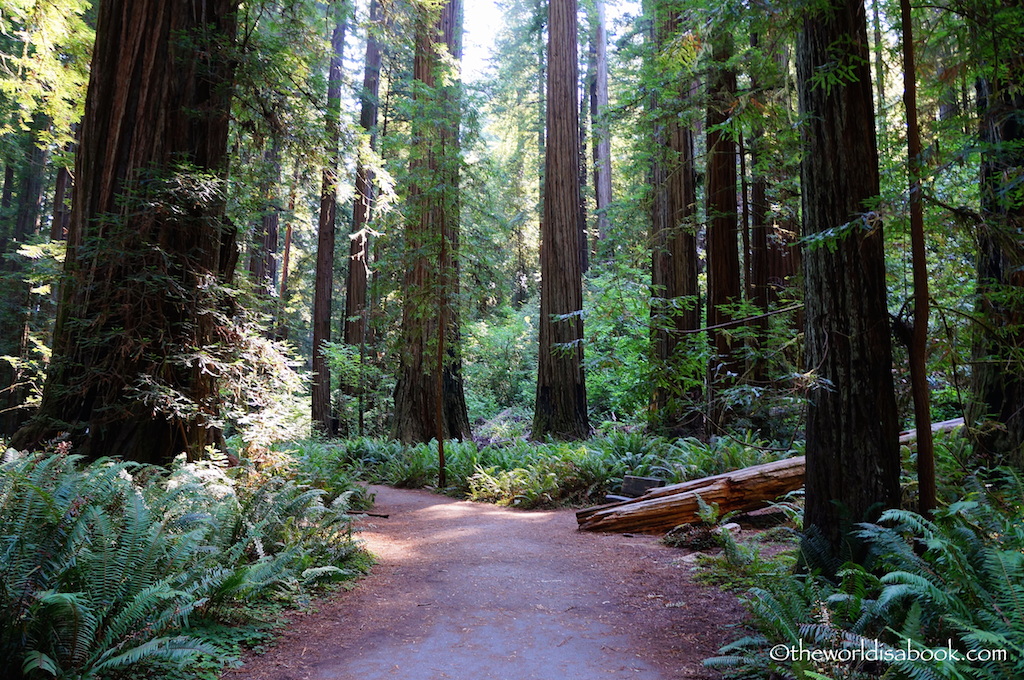 Stout Grove Trail