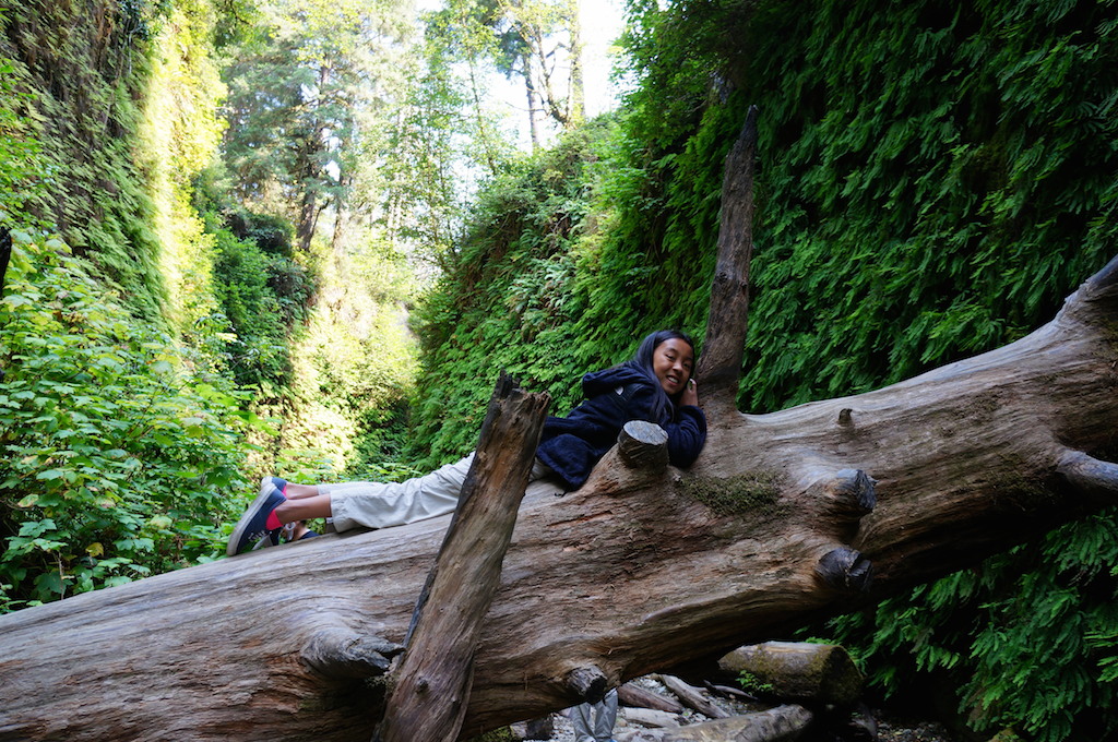 Fern Canyon with kids