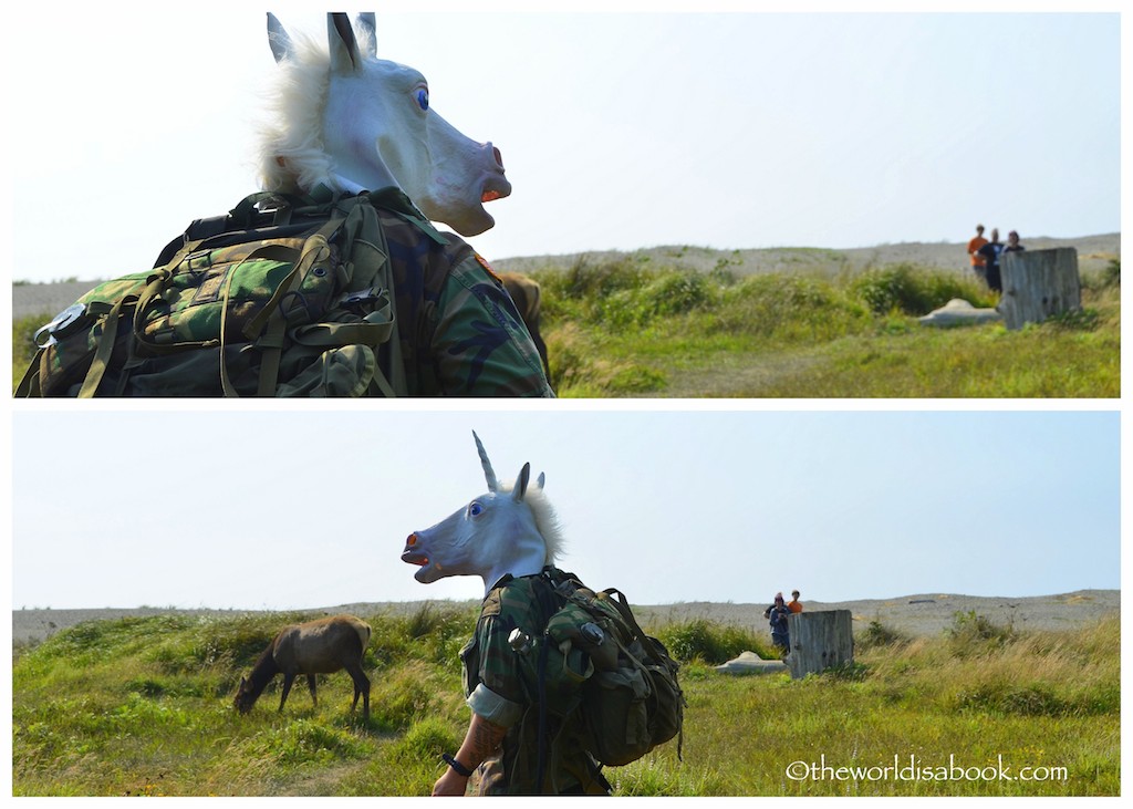 Redwood National Park unicorn man