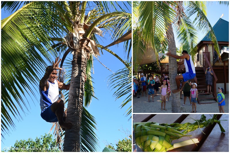 South Sea Island Fiji climbing coconut
