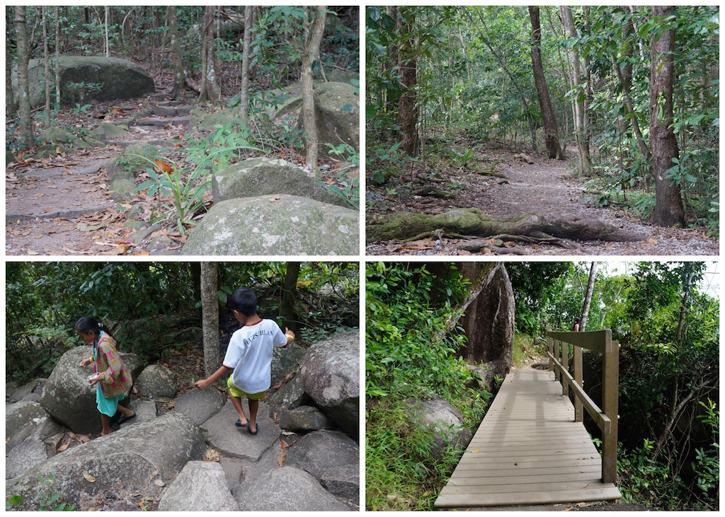 Daytripping At Fitzroy Island Australia The World Is A Book