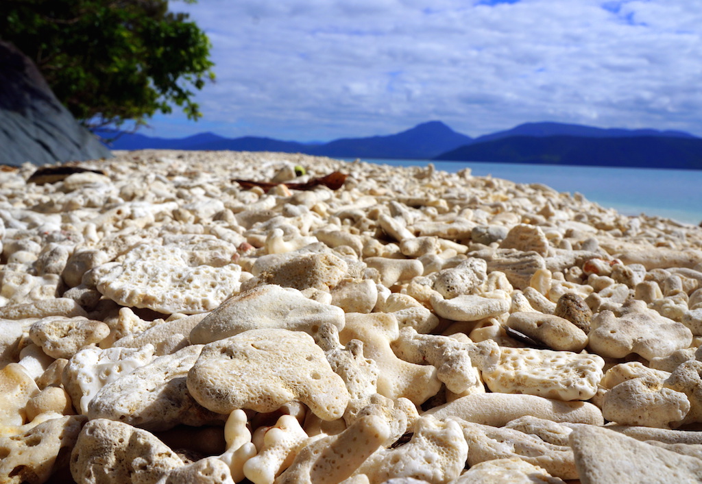 Fitzroy Island Coral Nudey Beach