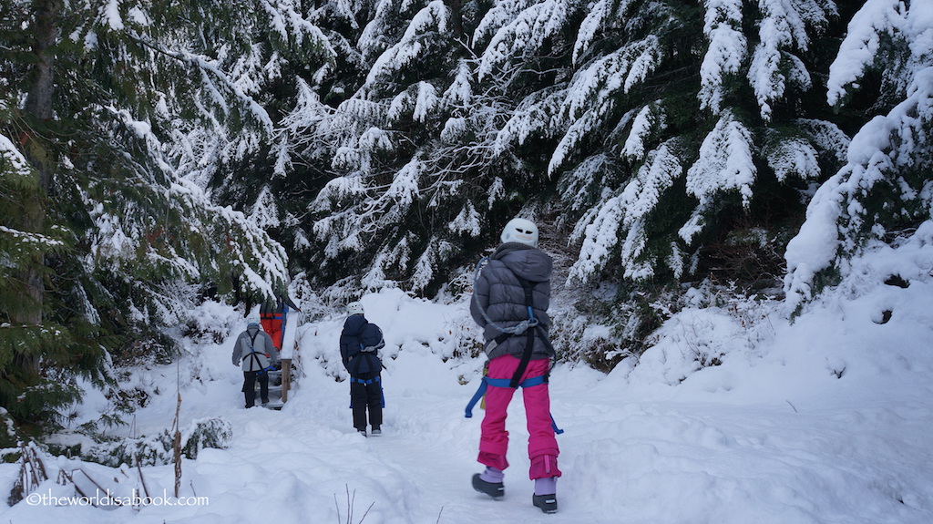 Whistler Ziptrek hike