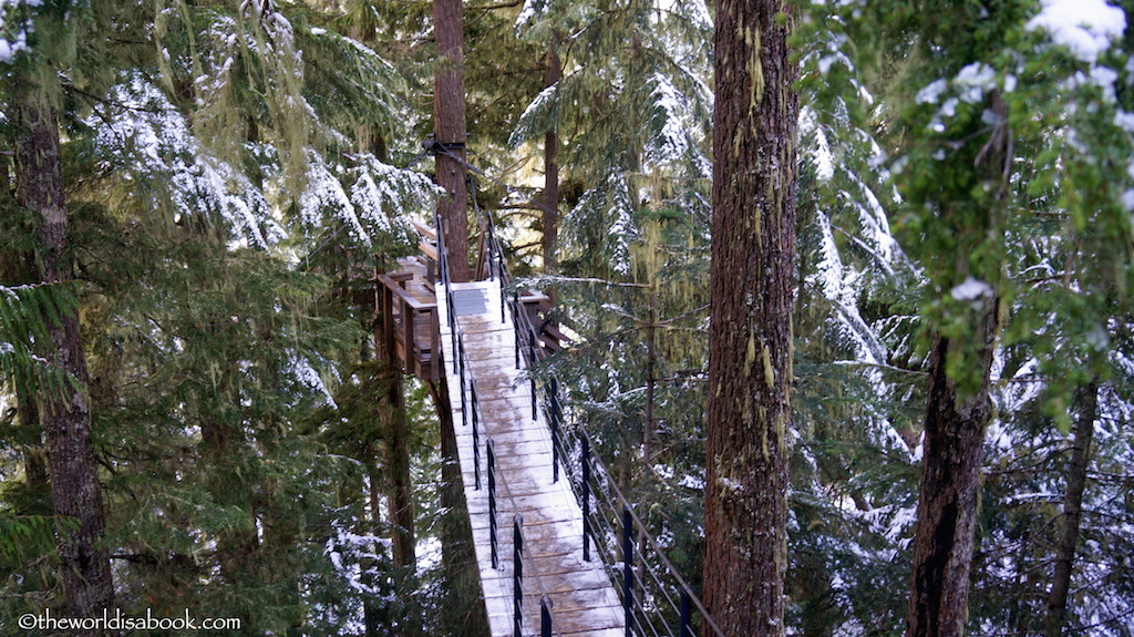 Whistler Ziptrek suspension bridge