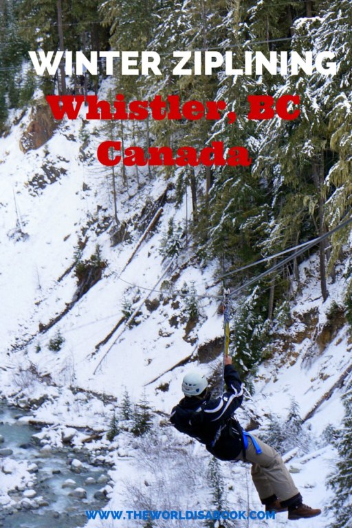 Whistler zipline ziptrek