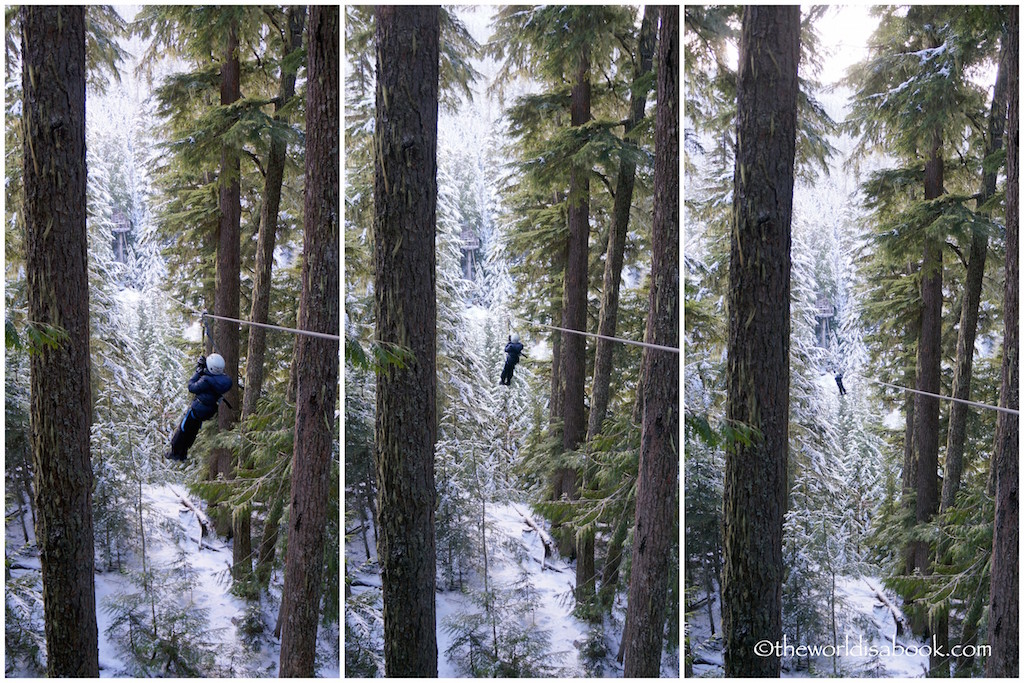 Ziptrek ziplining with kids