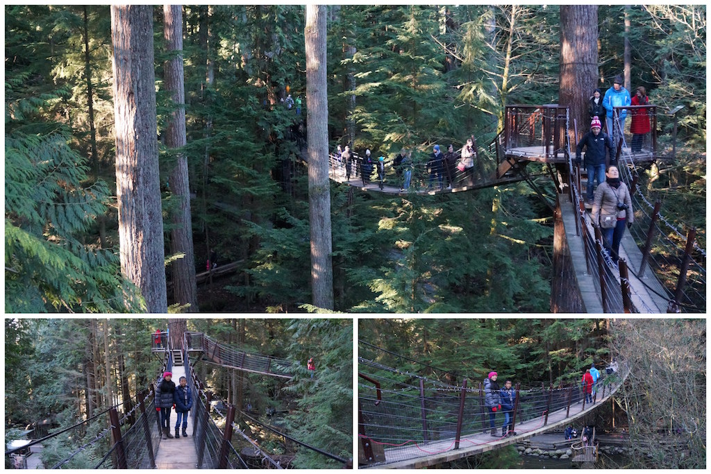 Capilano Treetop Adventures