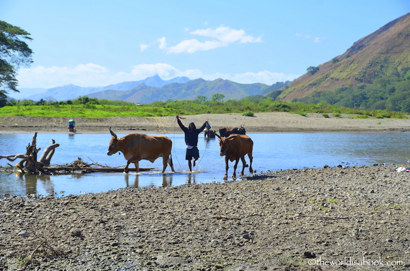 Fiji Sigatoka River Safari 