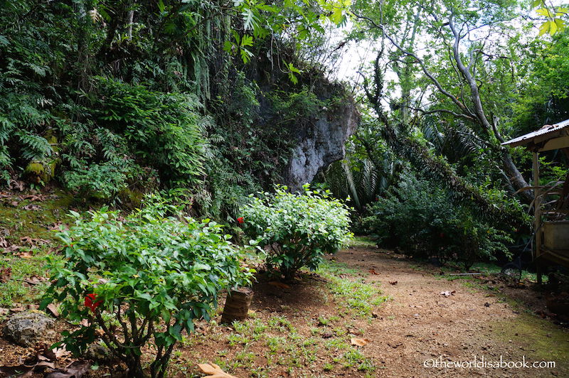 Guam river cruise jungle