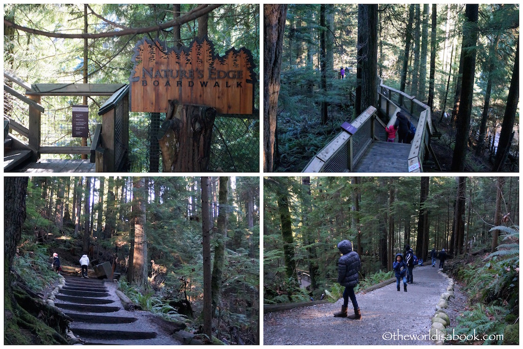 Nature's Edge Boardwalk Capilano