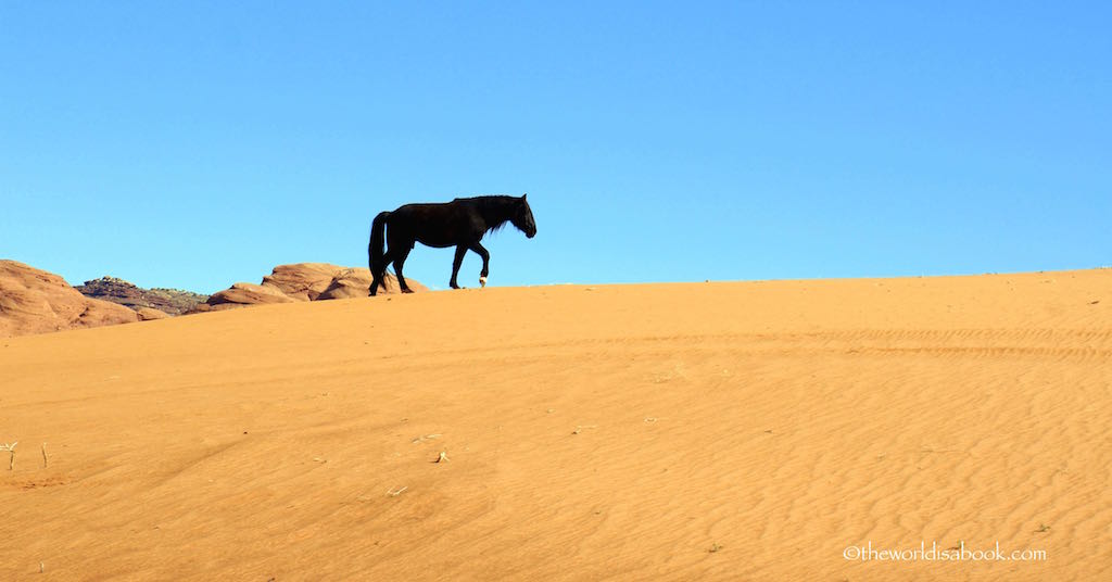 Monument Valley horse